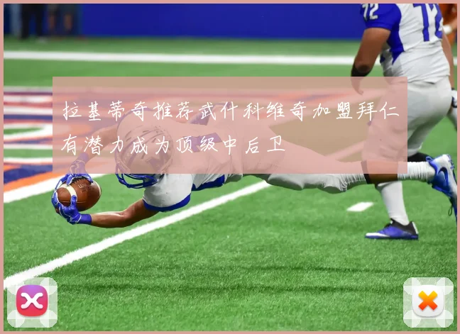 拉基蒂奇推荐武什科维奇加盟拜仁有潜力成为顶级中后卫