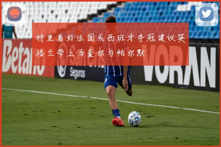 特里看好法国或西班牙夺冠建议英格兰带上马奎尔与帕尔默